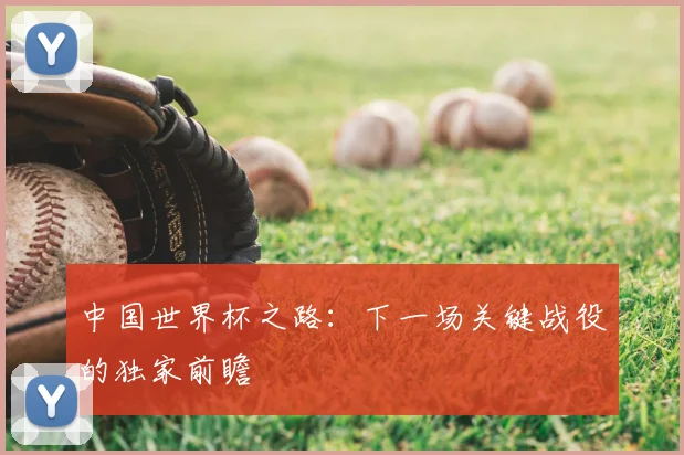 中国世界杯之路：下一场关键战役的独家前瞻