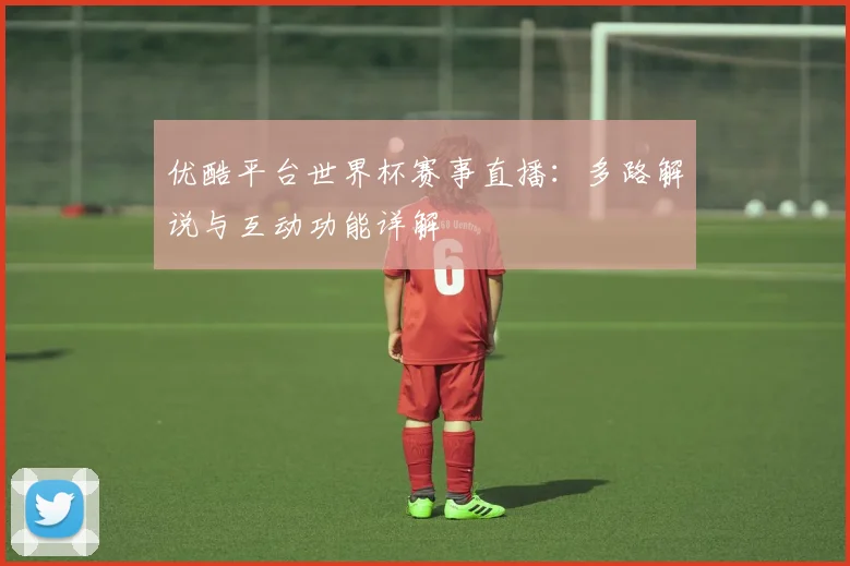 优酷平台世界杯赛事直播：多路解说与互动功能详解