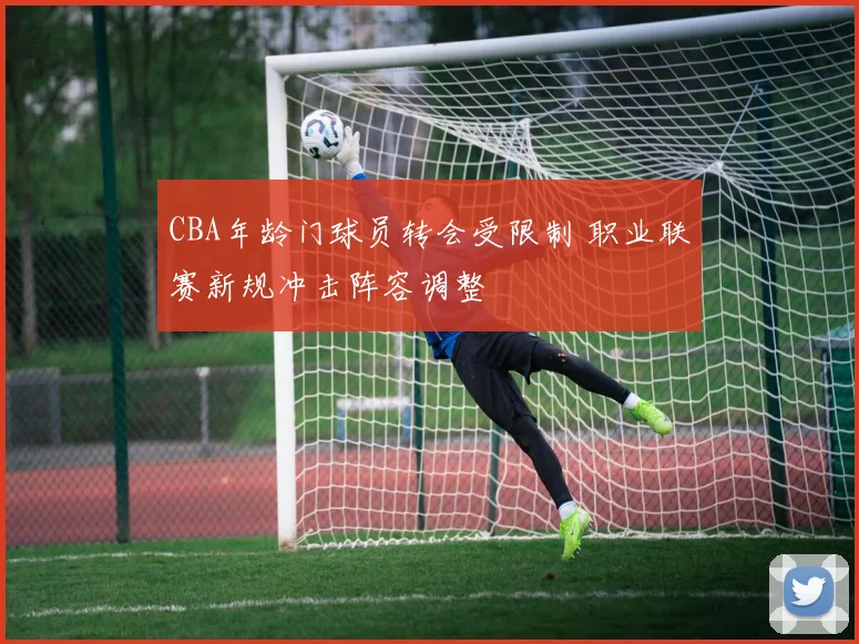 CBA年龄门球员转会受限制 职业联赛新规冲击阵容调整