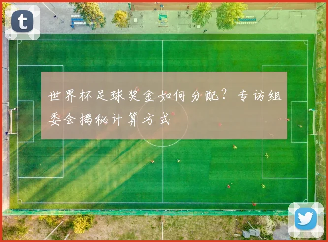 世界杯足球奖金如何分配?专访组委会揭秘计算方式
