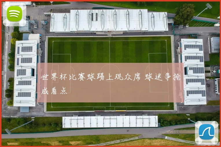 世界杯比赛球踢上观众席 球迷争抢成看点