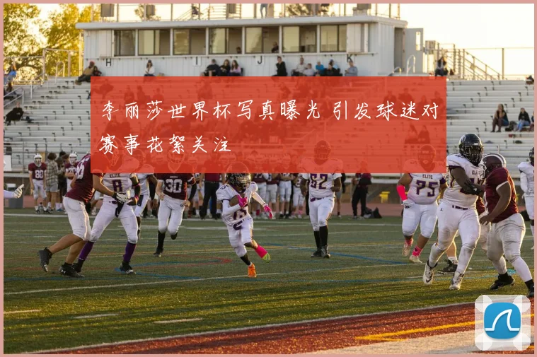 李丽莎世界杯写真曝光 引发球迷对赛事花絮关注