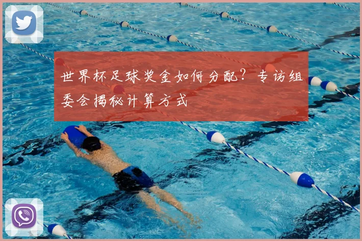 世界杯足球奖金如何分配?专访组委会揭秘计算方式